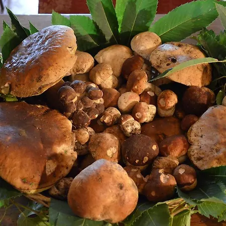 فندق Il Fondaccio 3*