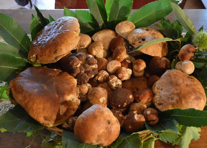 Il Fondaccio Lizzano In Belvedere